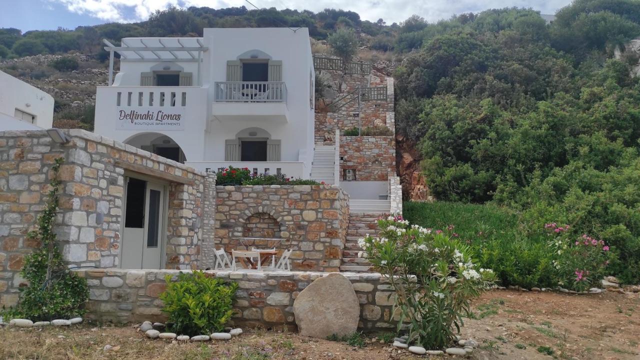 Villa Delfinaki Lionas Zewnętrze zdjęcie